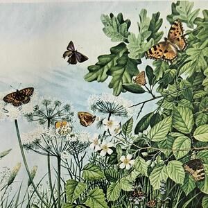 The Butterflies, William Scott Myles, Fantasy,  Art Print, ~ 250801-WH 595 G